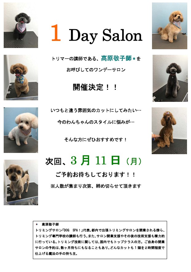 1DaySalon