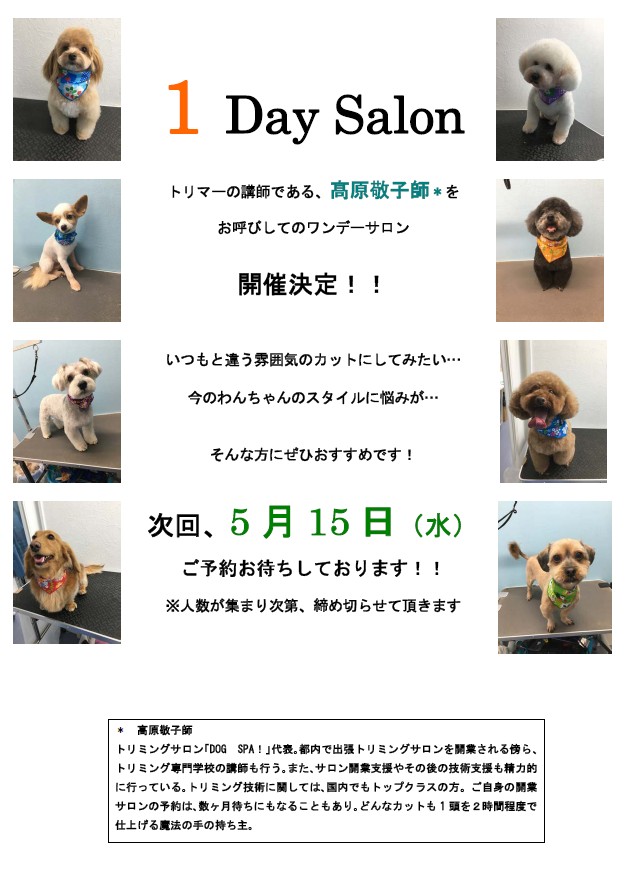 1DaySalon