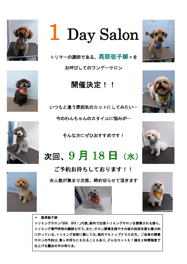 1DaySalon