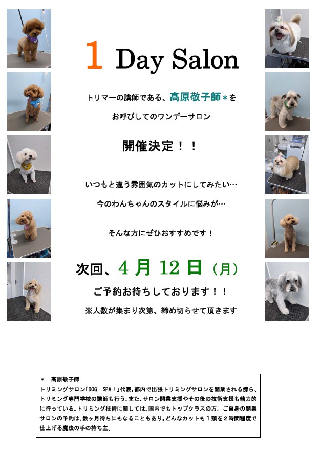 1DaySalon