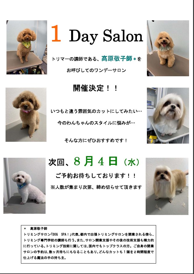 1DaySalon