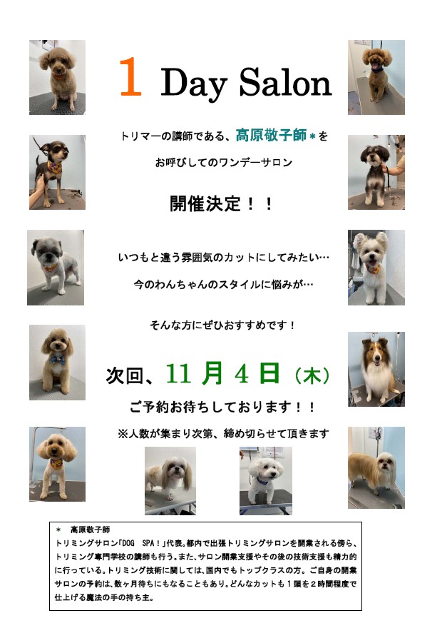 1DaySalon