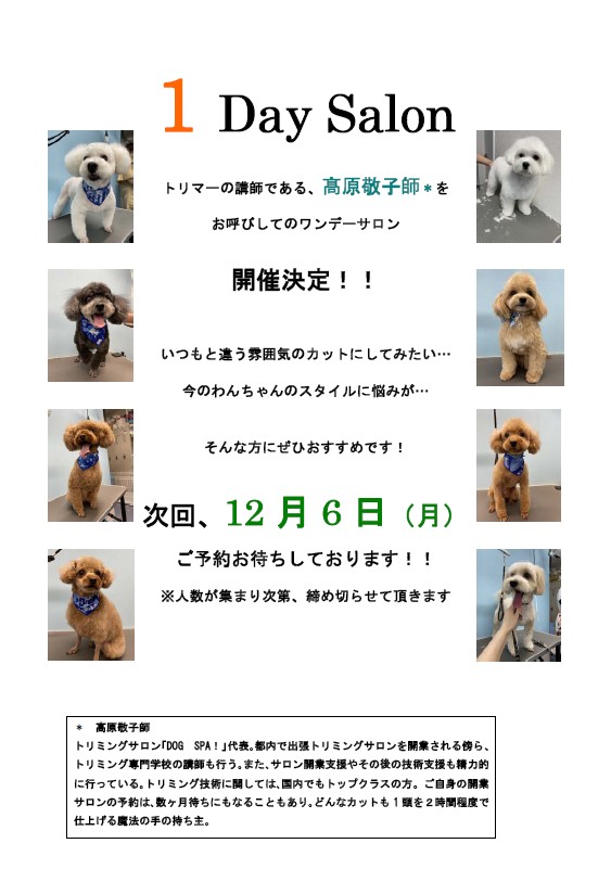1DaySalon