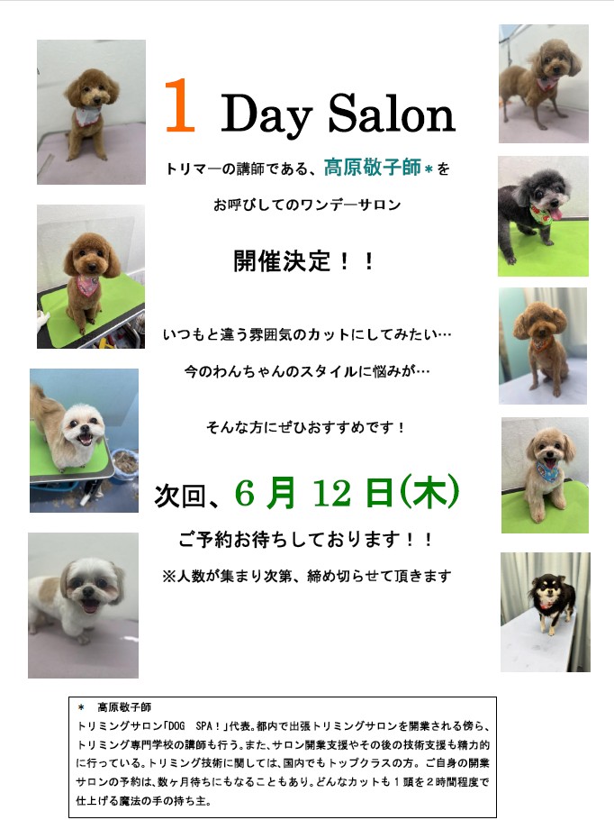 1DaySalon