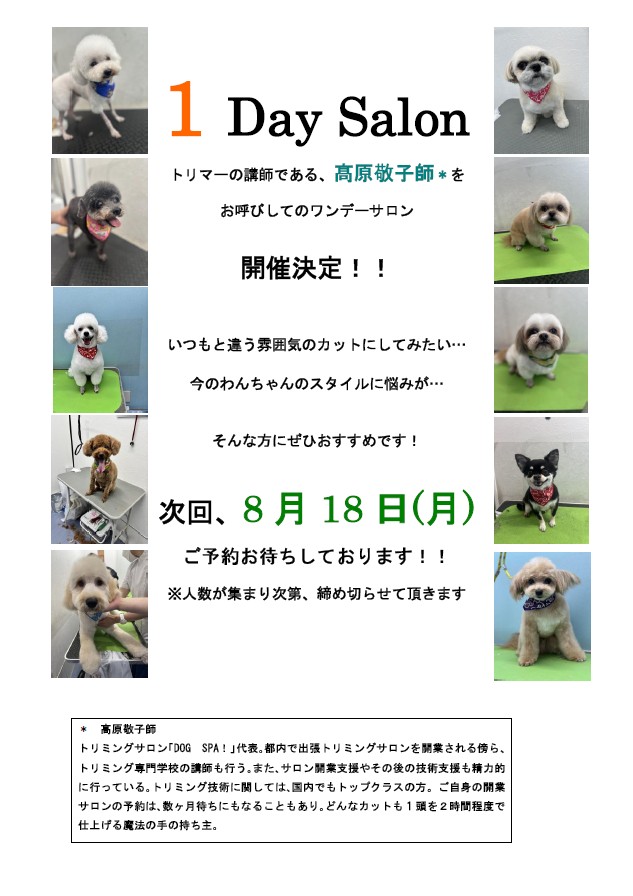 1DaySalon
